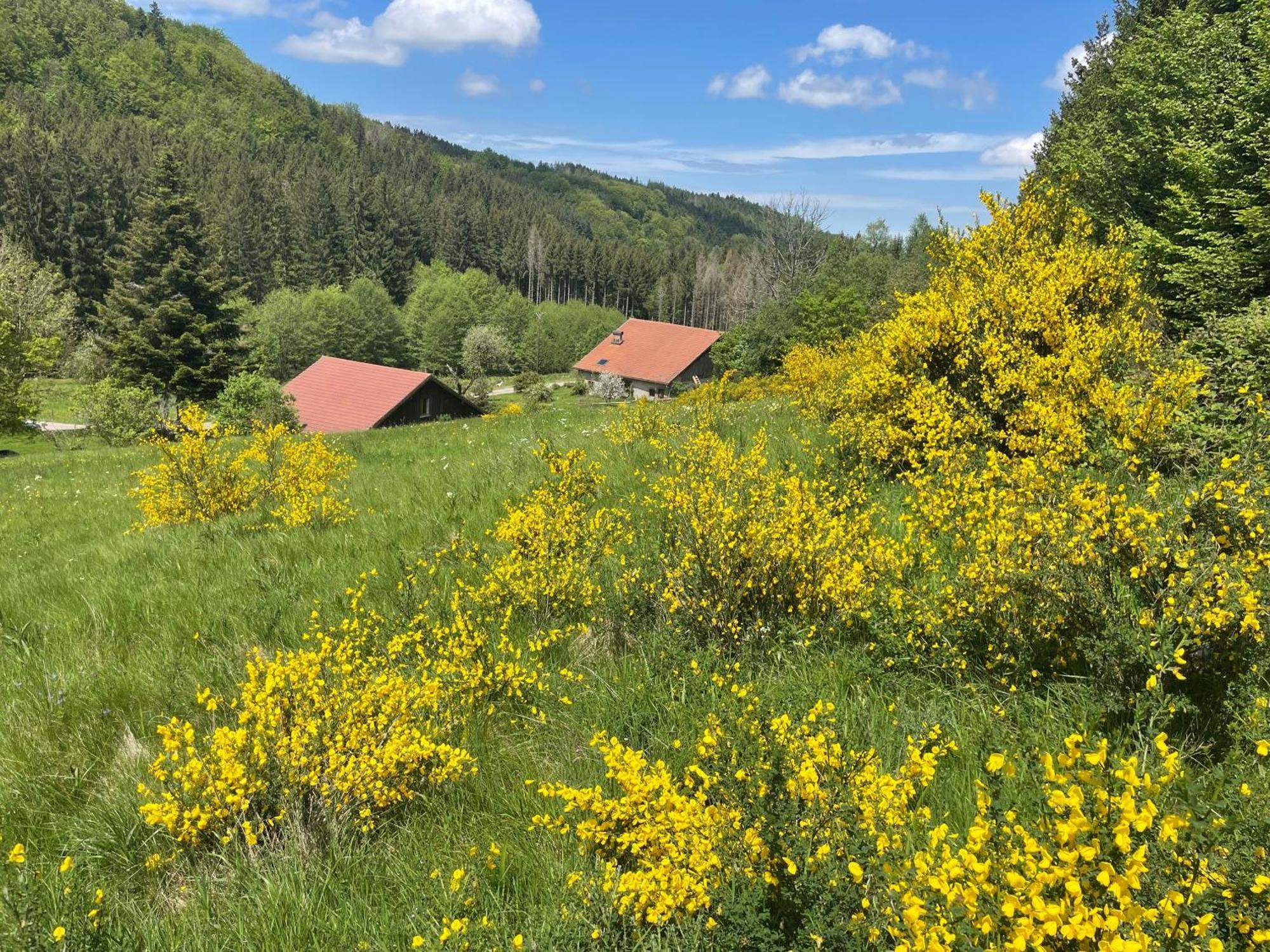 La Hutte Villa Tendon ภายนอก รูปภาพ